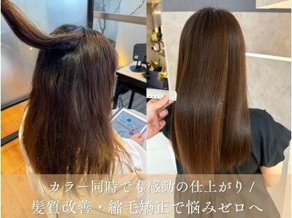 バンブークラシック(bamboo CLASSIC)の写真