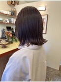 〈浅草 半個室〉パープルブラウン