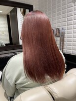 ルピナス(Lupinus)&nbsp;レッドカラー