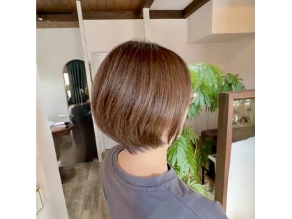 ベルトヮ(Belle toi)の写真