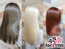 ヘアートゥリース(hair trees)