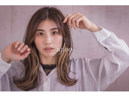 イグルー(igloo)の写真