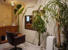 自慢の植物たち