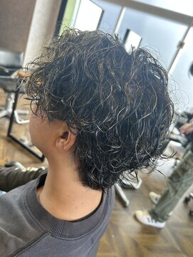 ステレオ ヘアデザイン 安城店(STEREO HAIR DESIGN) …縦落ちツイスパ(1月)…