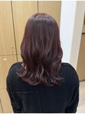 バイオレット