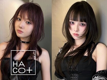 ハコ プラス(HACO+)の写真