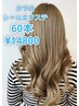 【シールエクステ60本】スワロシールエクステ60本　17300円