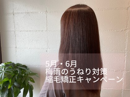 グランツ(GLANZ)の写真