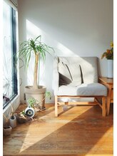 デイジーヘアー(Daisy hair)