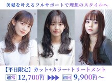 セリュックス(CELUX)