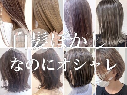 アル あびこ(aru.)の写真