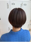 コンパクトショート/アプリコットブラウン