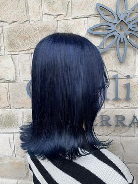 カぺリベラ テラス Capelli bella TERRACE ネイビーカラー