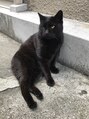 ヒロギンザ 銀座一丁目店(HIRO GINZA) 趣味は野良猫を探すことです