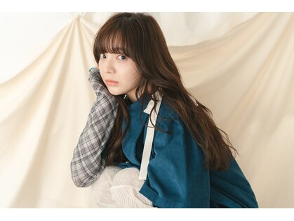ノック(knock)の写真