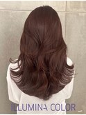 イルミナカラーブラウン