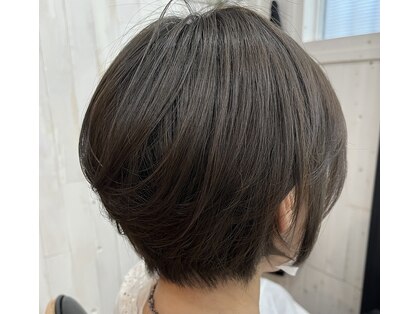 ソナ(Sona)の写真