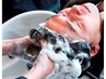 【仕事帰りにオススメ】ZENONコース＋オーガニックヘッドスパ￥6,600