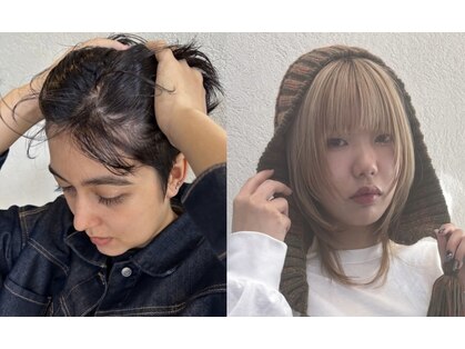 シュール(Sure)の写真