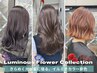 【イルミナカラー新色】+システムトリートメント 