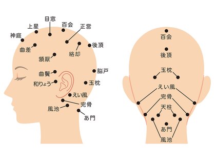 レイ(Ley)の写真