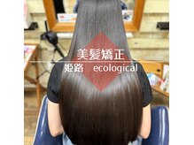 エコロジカルグローブス(ECOLOGICaL GLOBES)