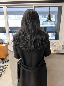 アペット(Appet) ブルーブラック