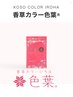 美骨格カット+香草カラー+TOKIOトリートメント　18900　→　14500