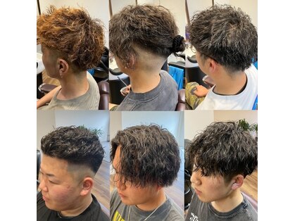 マーチン(Martin)の写真