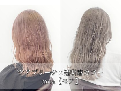 モア(moa)の写真