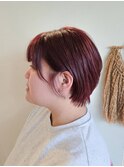 ボルドーカラー×耳かけショート