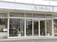 ホワイトバーチ(white birch)の雰囲気（中村の交差点のすぐ角にお店があります！駐車場を目の前に完備◎）