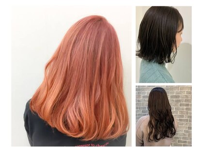 プリュム(PLUME)の写真