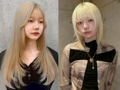 ミース(MIES)の写真