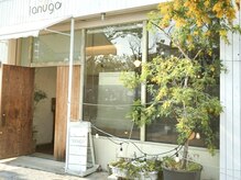 ラヌゴ(lanugo)