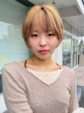 ナービス(NARVIS) ケアブリーチ/ライトベージュ/ショート/顔まわりカット