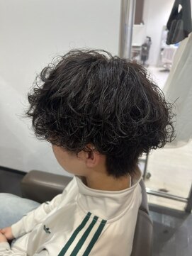 プロ ヘア テック(PRO HAIR TEC) 波巻きスパイラル