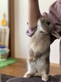 マルカ 調布(marca) うさぎ飼ってます♪動物大好きです♪