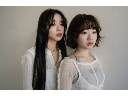 トガ(Toga)の写真