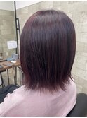 ピンクラベンダー