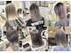 SEN ダブルカラー/髪質改善/ハイライト/レイヤーカット/縮毛矯正【9月OPEN（予定）】の写真