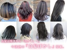 サロンズ 京都JR二条駅西口店(SALONS)の雰囲気（当店は白髪ぼかしハイライトが人気です！）