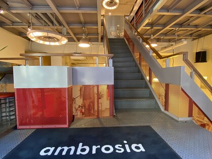 アンブロシア(ambrosia)の写真