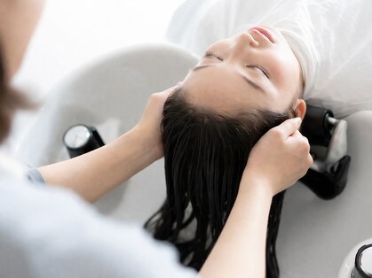 アイル(aisle)の写真