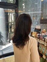 ソルエテラ(sol ea terra)&nbsp;ヘナ2色染め