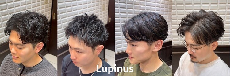 ルピナス(Lupinus)のサロンヘッダー