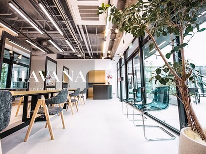 ハバナ 天神(HAVANA)の写真