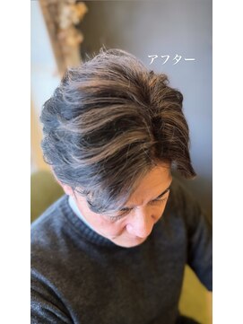 ヘアコンセプト マスト(Hair Concept MAST) メンズグレーハイライト