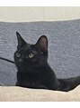 リミエ(RIMIE)&nbsp;お家には黒猫のsaraちゃんを飼っています♪