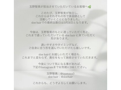 スロウ(sloe)の写真